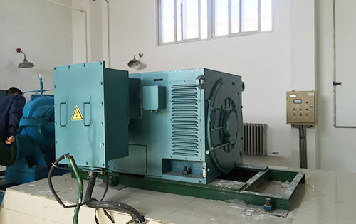Y5604-12某水电站工程主水泵使用我公司高压电机