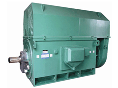 Y5604-12Y系列6KV高压电机
