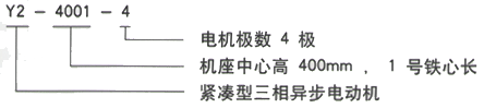 YR系列(H355-1000)高压Y5604-12三相异步电机西安西玛电机型号说明